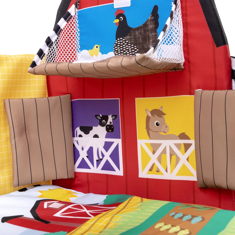 Baby Einstein Mažylis Einšteinas – „Busy Barnyard™“ – augimo su manimi žaidimų aikštelė (BE-17327)