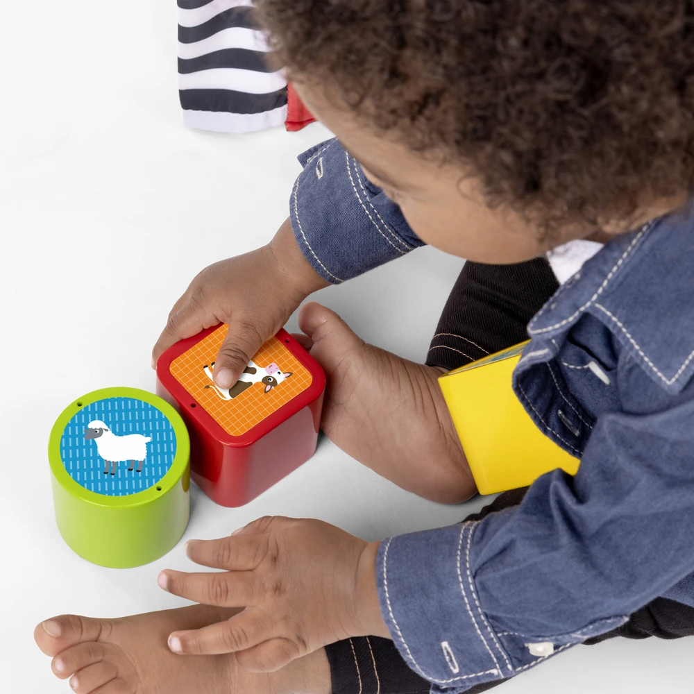 Baby Einstein Mažylis Einšteinas – „Busy Barnyard™“ – augimo su manimi žaidimų aikštelė (BE-17327)