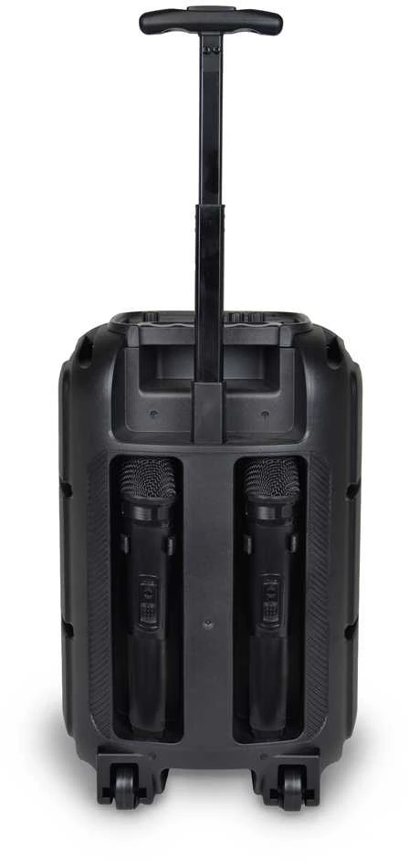 BONTEMPI belaidis garsiakalbis su 2 mikrofonais ir RGB šviesomis, 49 1070