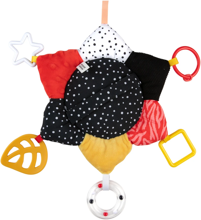 CANPOL BABIES sensorinis veidrodis su interaktyviais elementais BABIESBOO, 68/099