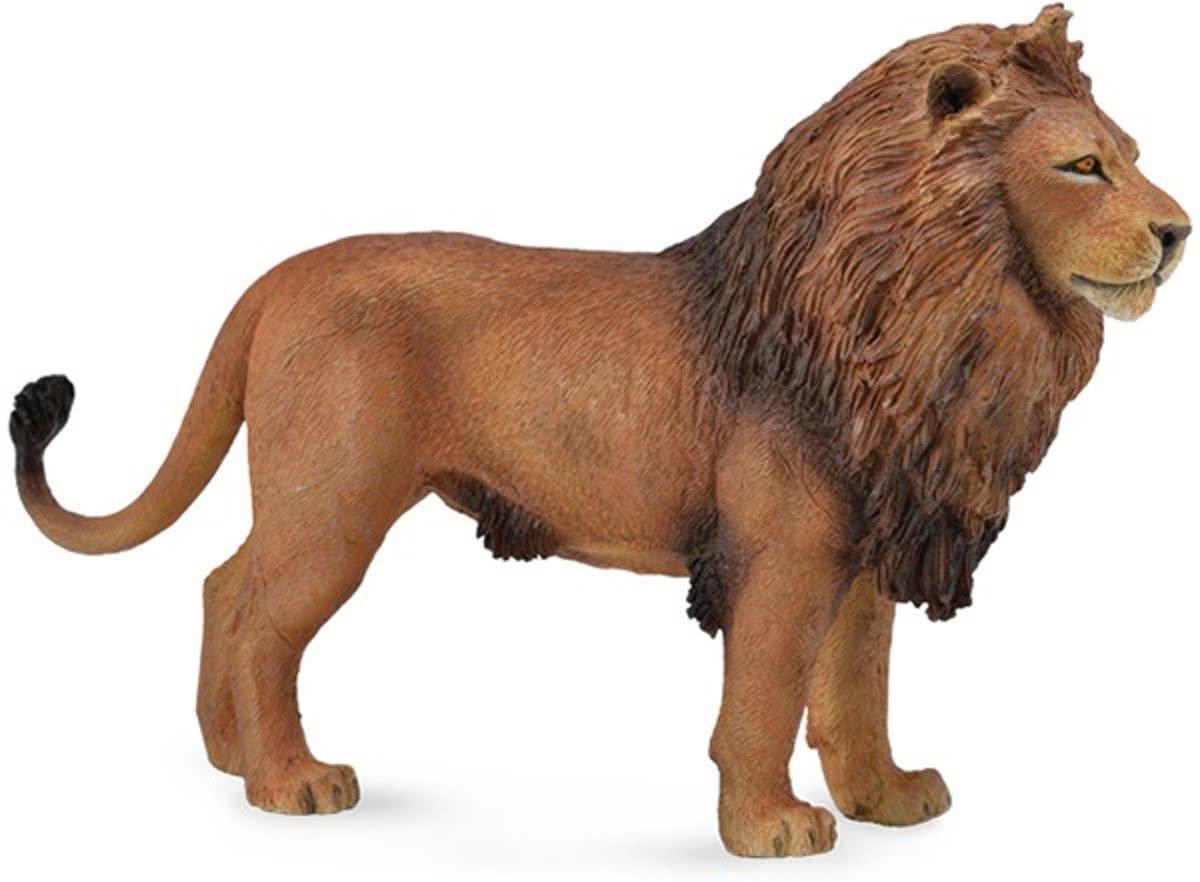 Collecta Figūrėlė Afrikinis liūtas (L)