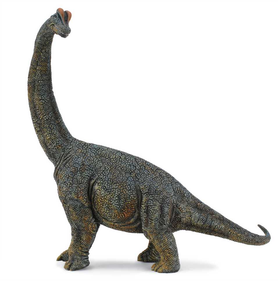 COLLECTA Brachiozauras, Deluxe, 1:40, 88405