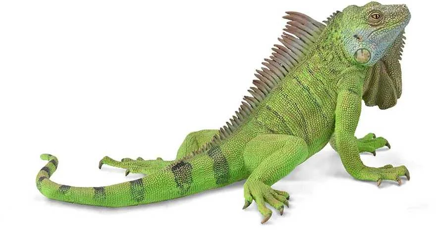 Collecta Figūrėlė Iguana (XL)