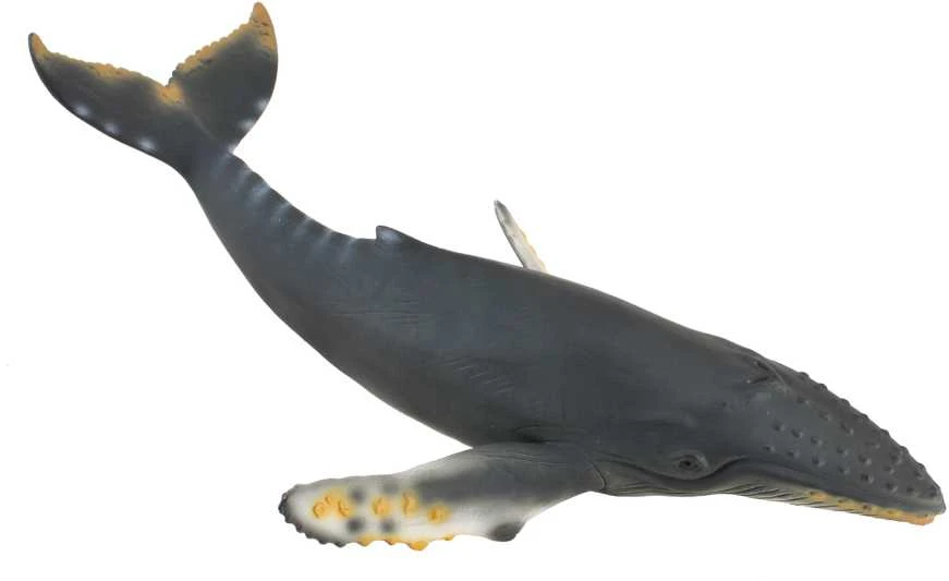 COLLECTA Kuprotasis banginis, (XL), 88347