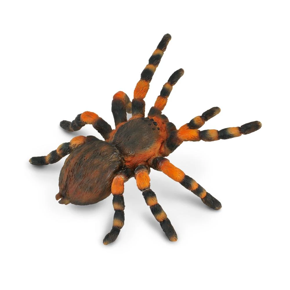 Collecta Figūrėlė Meksikos raudonkelis paukštėda (L)