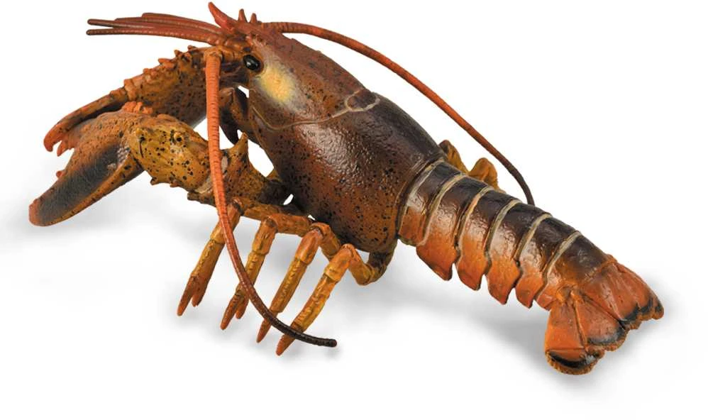 Collecta Figūrėlė Omaras (L)