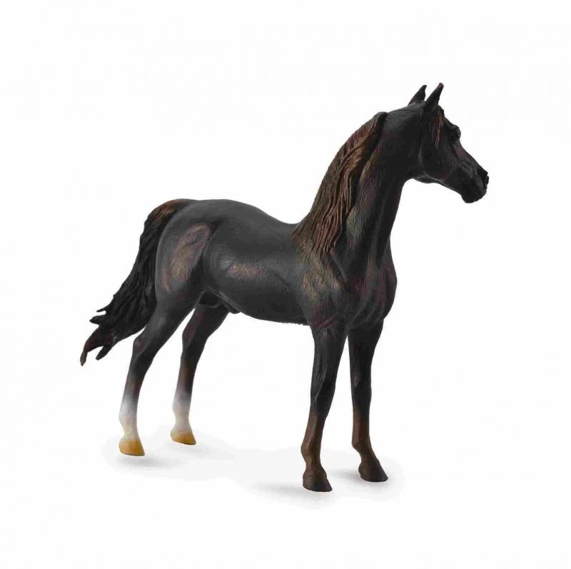 Collecta Figūrėlė Morganų veislės žirgas (XL)