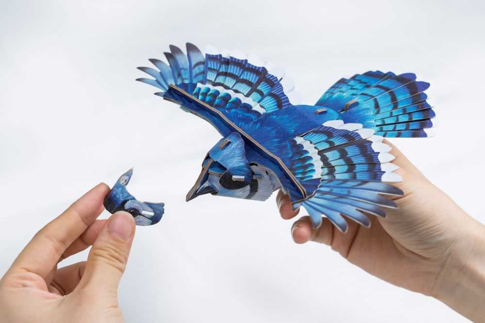 MAKEBUG 3D popierinė delionė Amerikinis mėlynasis kėkštas, MB-D-0056