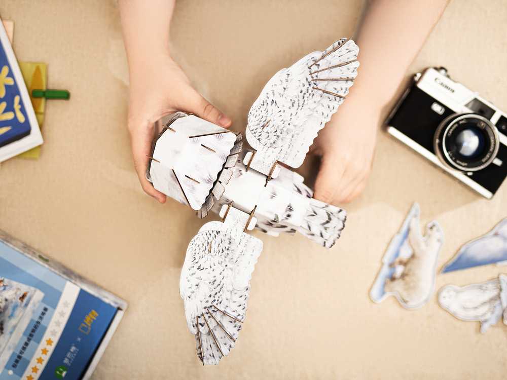 MAKEBUG 3D popierinė delionė Baltoji pelėda, MB-B-0009