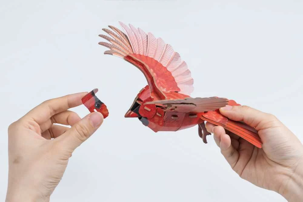 MAKEBUG 3D popierinė delionė Kardinolas, MB-D-0055