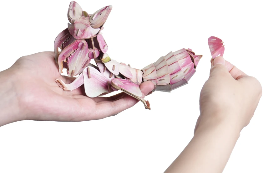 MAKEBUG 3D popierinė dėlionė Orchidėjinis maldininkas, MB-D-0052