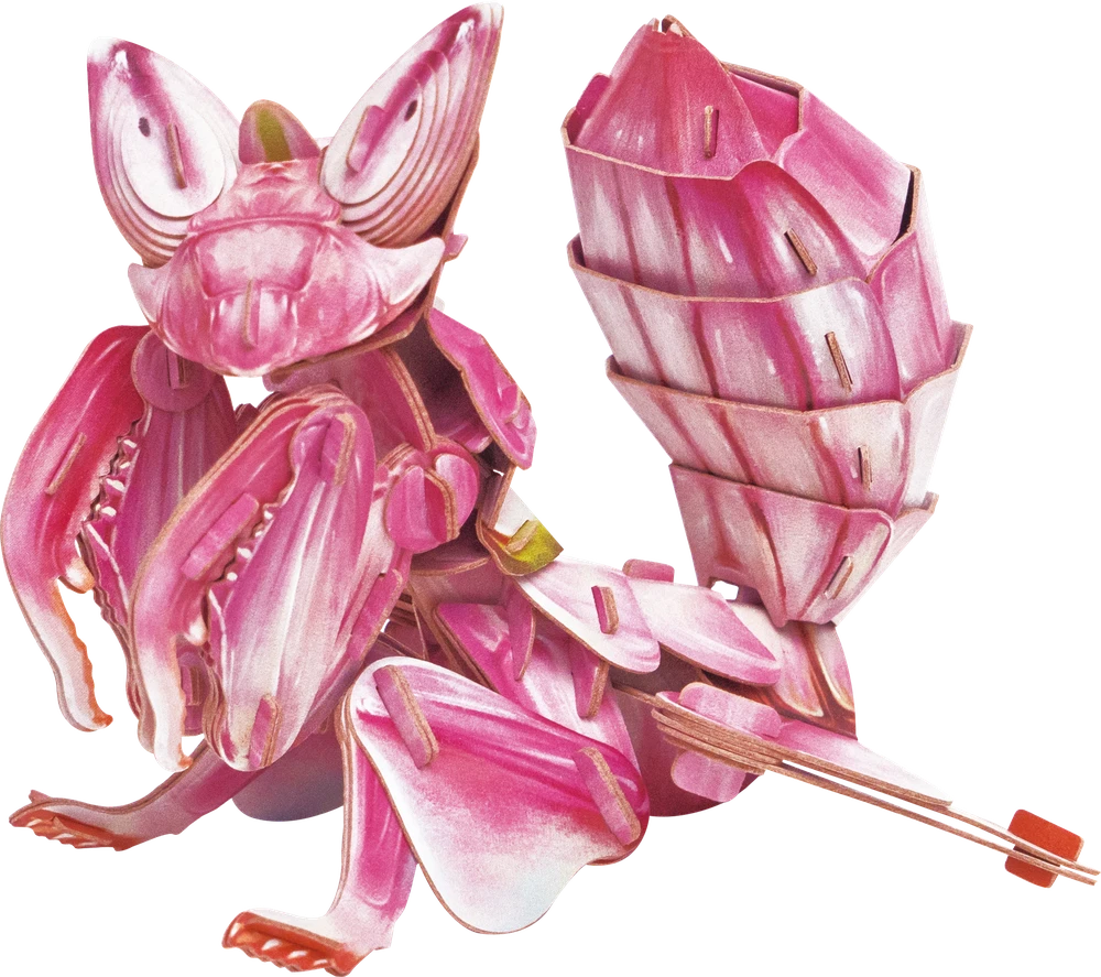 MAKEBUG 3D popierinė dėlionė Orchidėjinis maldininkas, MB-D-0052