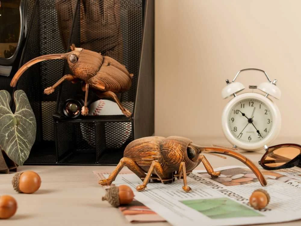 MAKEBUG 3D popierinė delionė Straubliukas, MB-B-0004