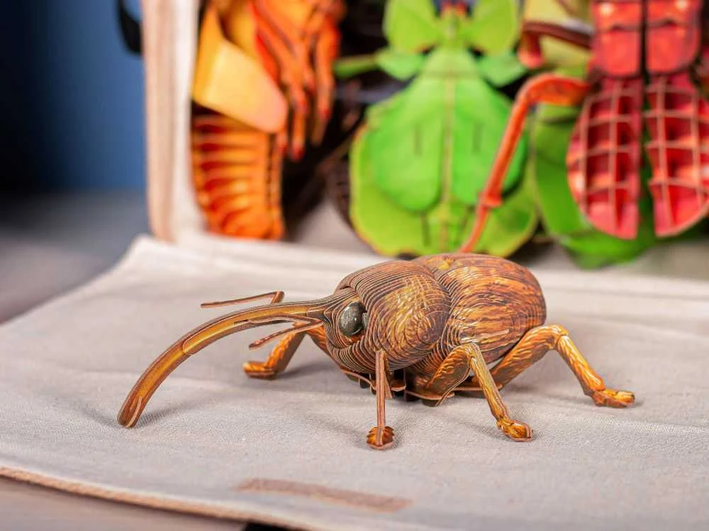 MAKEBUG 3D popierinė delionė Straubliukas, MB-B-0004