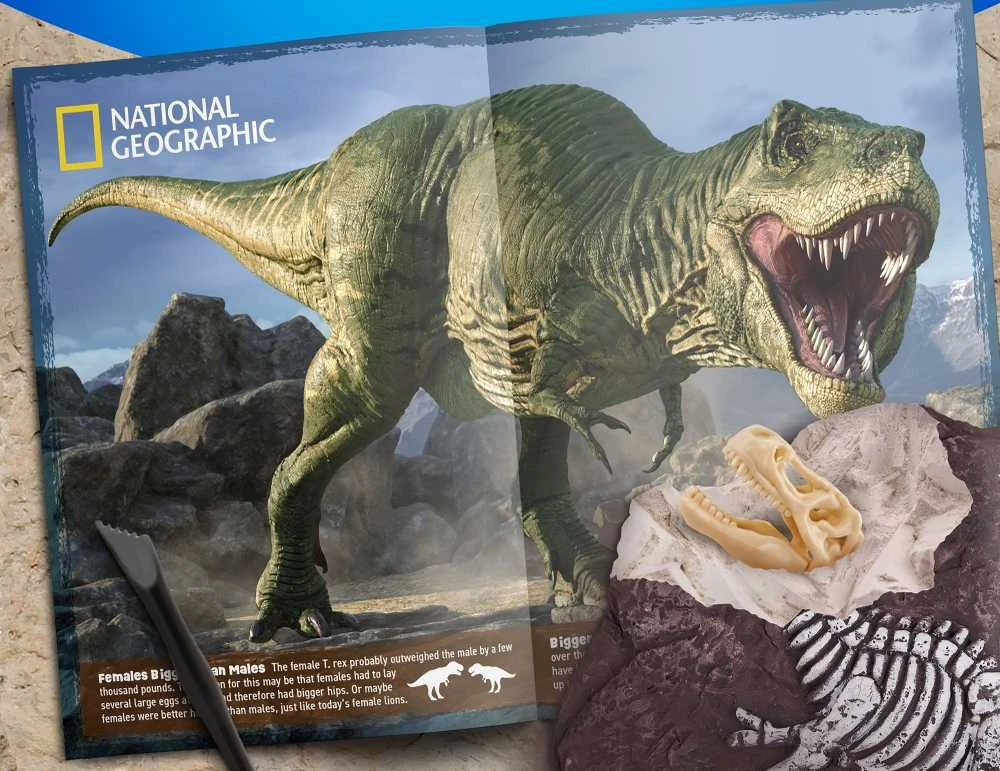 NATIONAL GEOGRAPHIC rinkinys T-Rex Skeleton Dig Kit, RTTREXDIG
