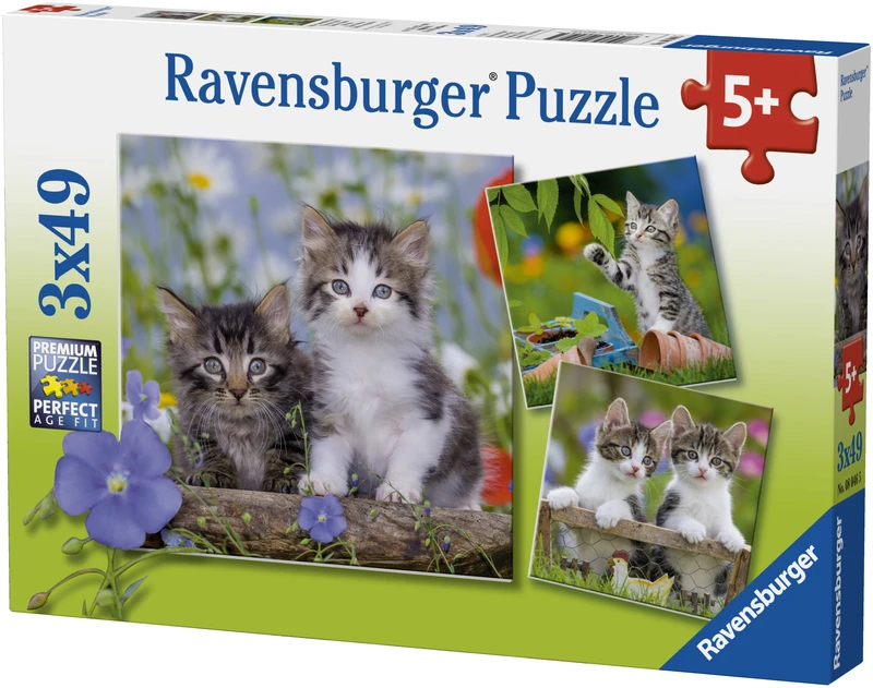 Ravensburger Dėlionė 3x49 vnt. - Kačiukai