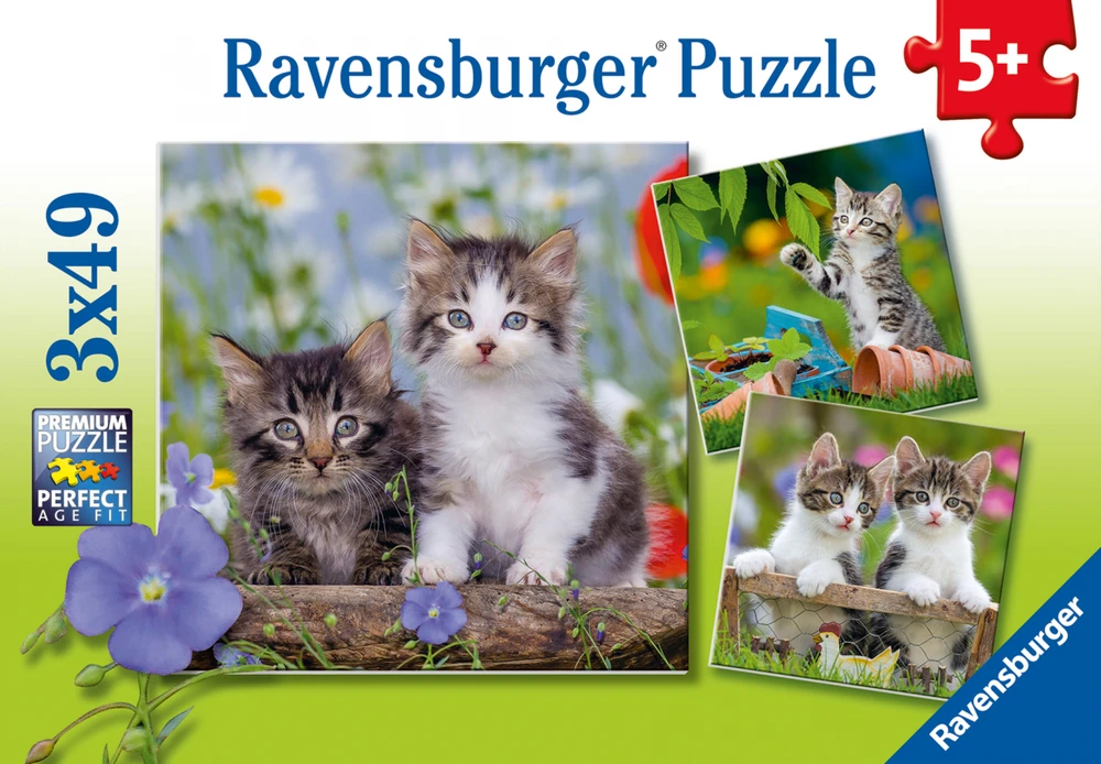 Ravensburger Dėlionė 3x49 vnt. - Kačiukai