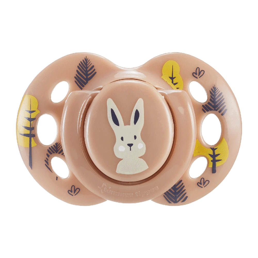 TOMMEE TIPPEE silikoninis čiulptukas FUN 18-36 mėn., 2 vnt., 433657
