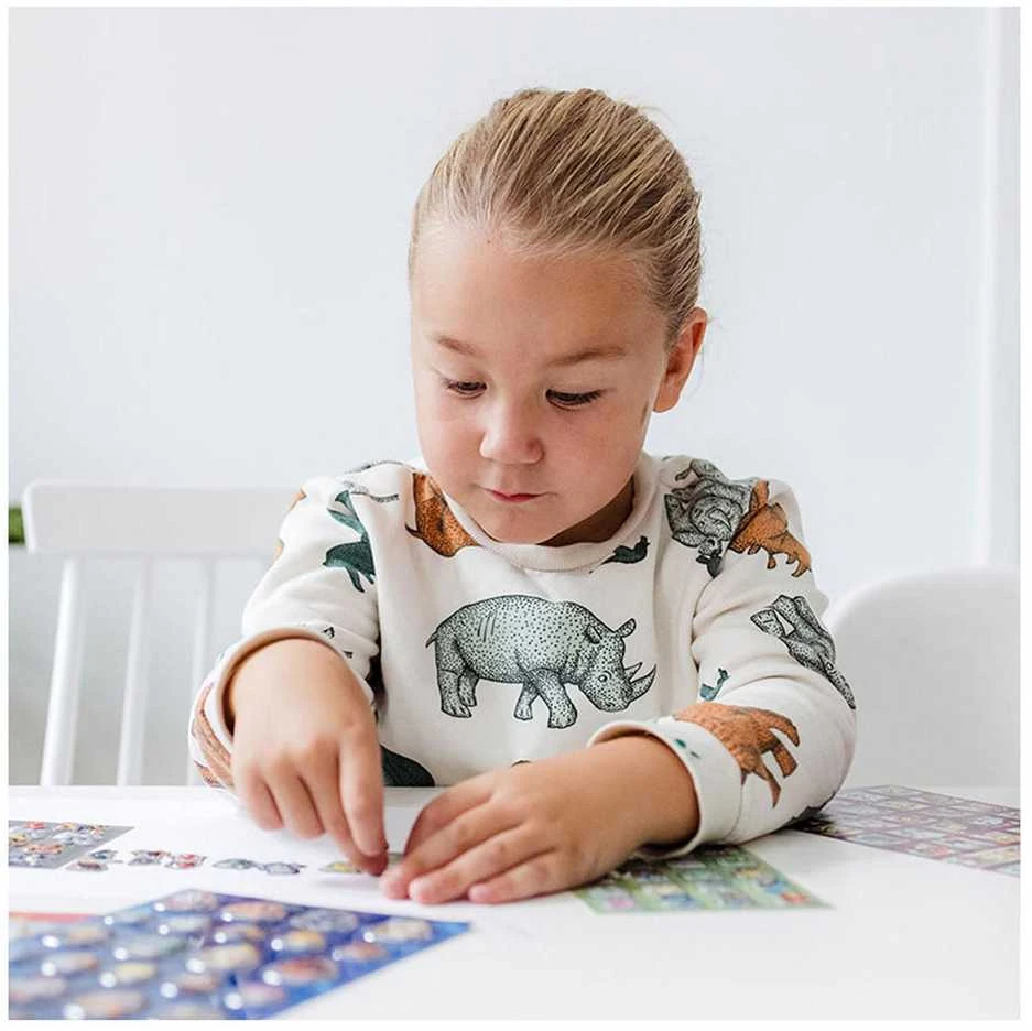 Zdesign TOTUM PAW PATROL lipdukų rinkinys, 720985