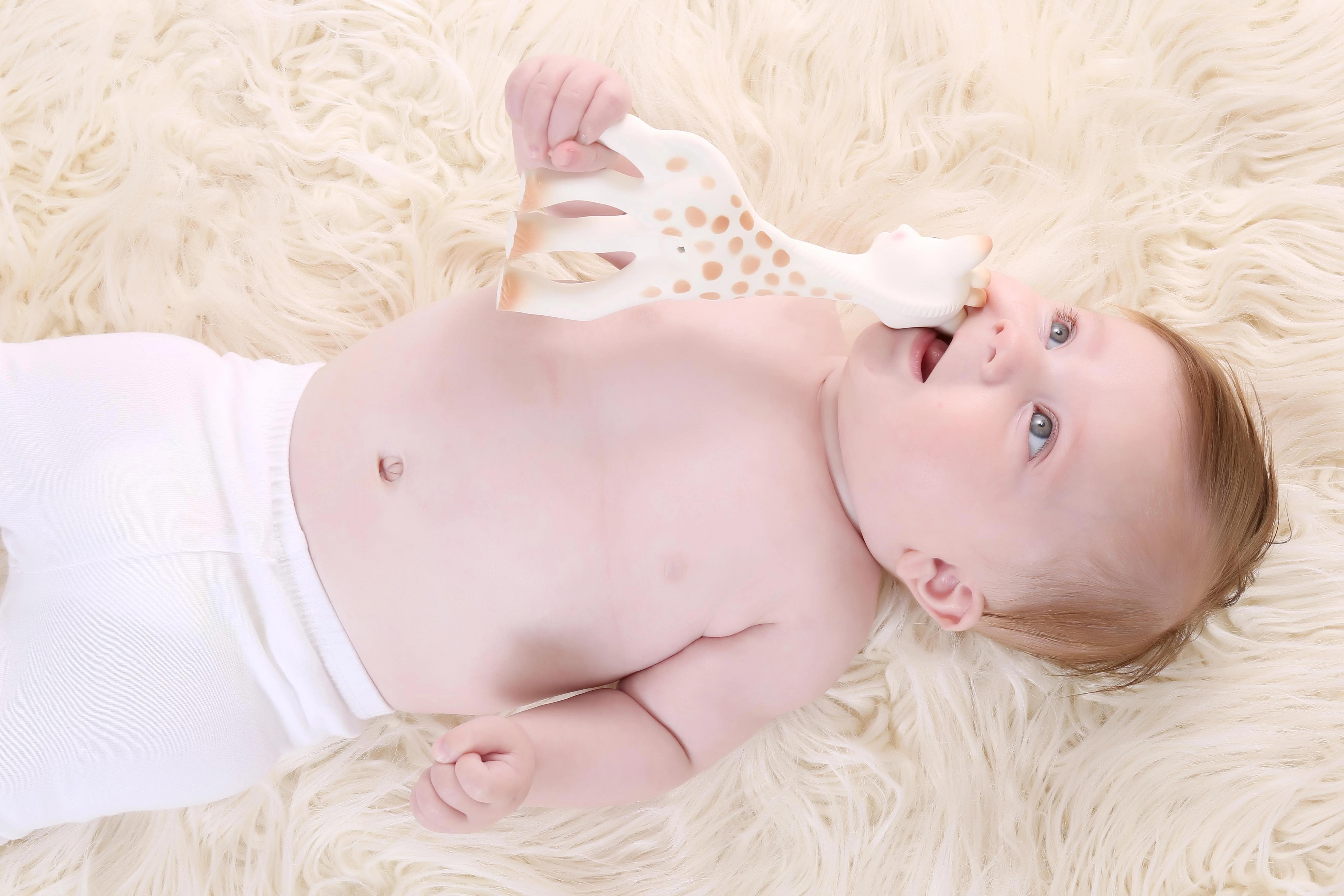 VULLI Sophie la girafe kramtukas dovanų pakuotėje 0m+ So'pure 616331