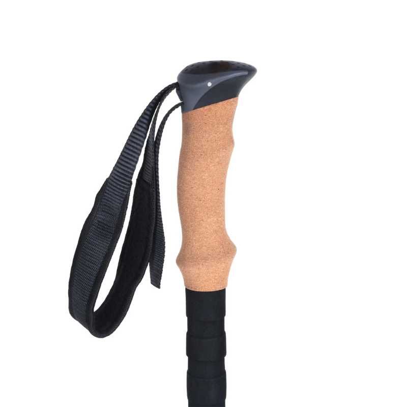 Trekingo lazdos Lifesystems Carbon Fibre Trekking Poles