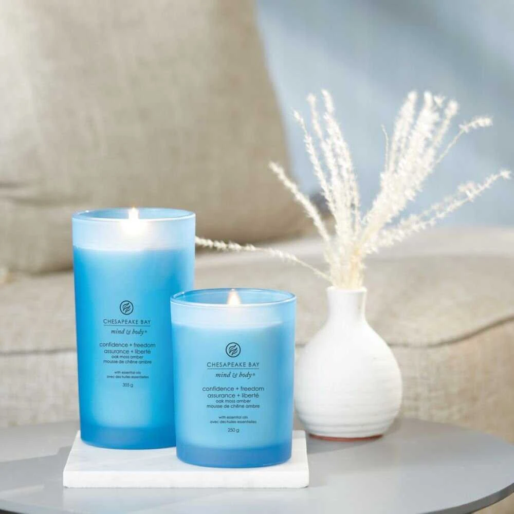 Chesapeake Bay Candle didelė žvakė – Confidence & Freedom (Oak Moss Amber)
