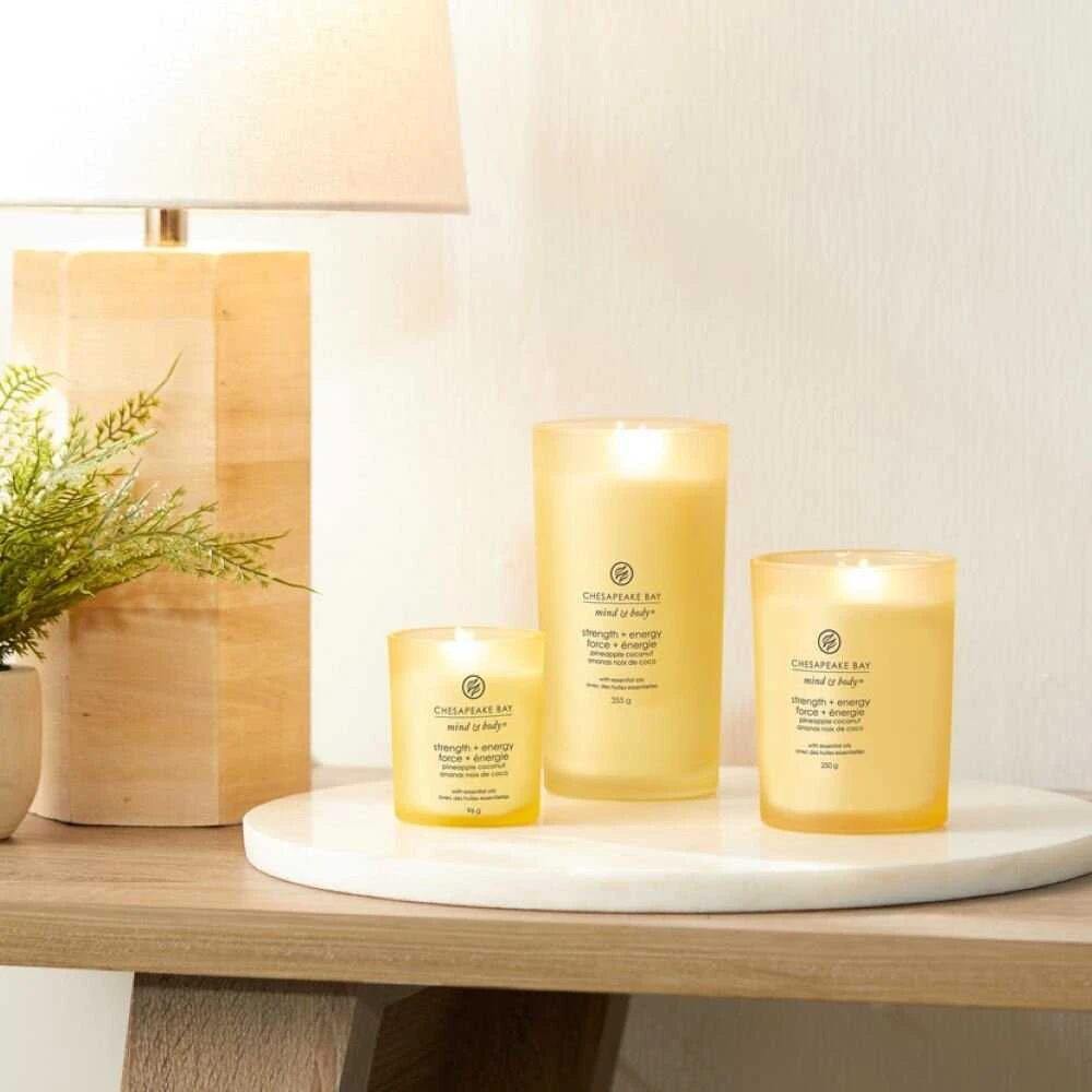 Chesapeake Bay Candle didelė žvakė – Strength & Energy (Pineapple Coconut)