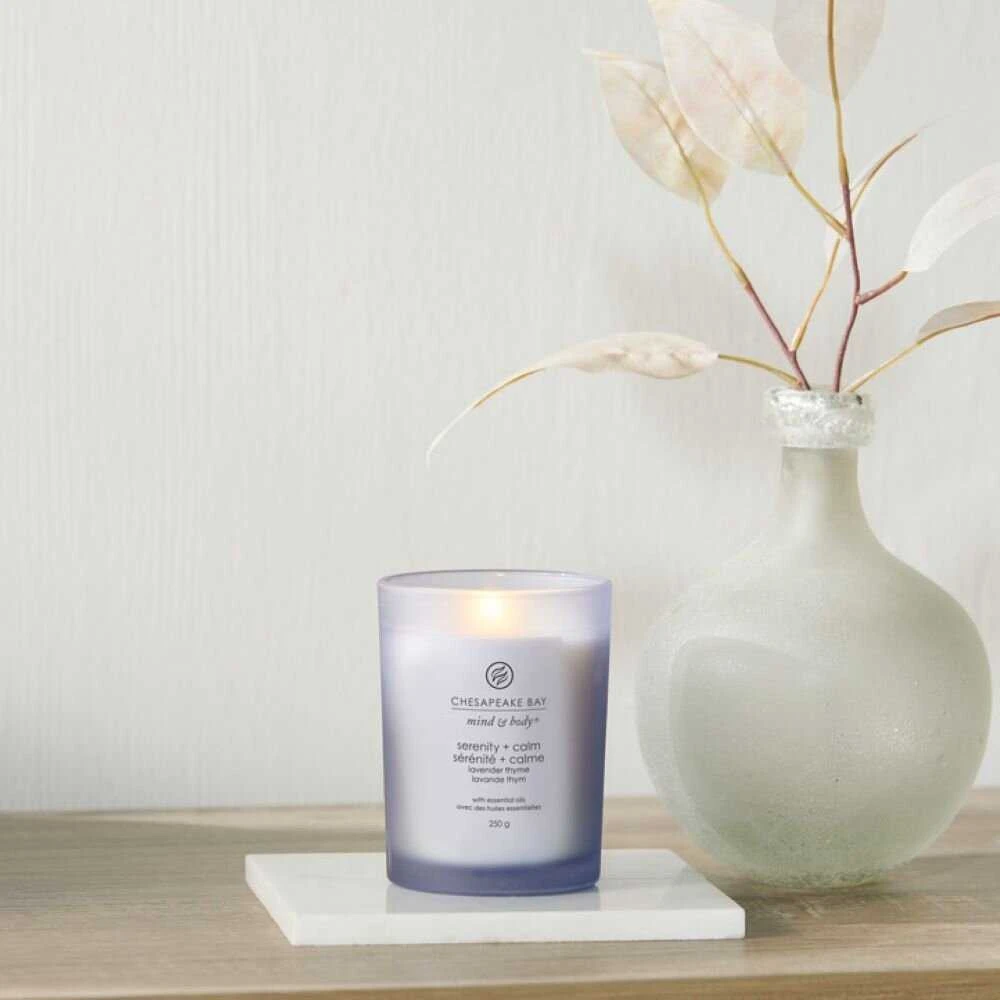 Chesapeake Bay Candle vidutinė žvakė – Serenity & Calm (Lavender Thyme)