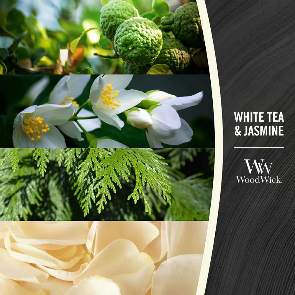 WoodWick Aromatinė žvakė (White Tea & Jasmine), 85 g