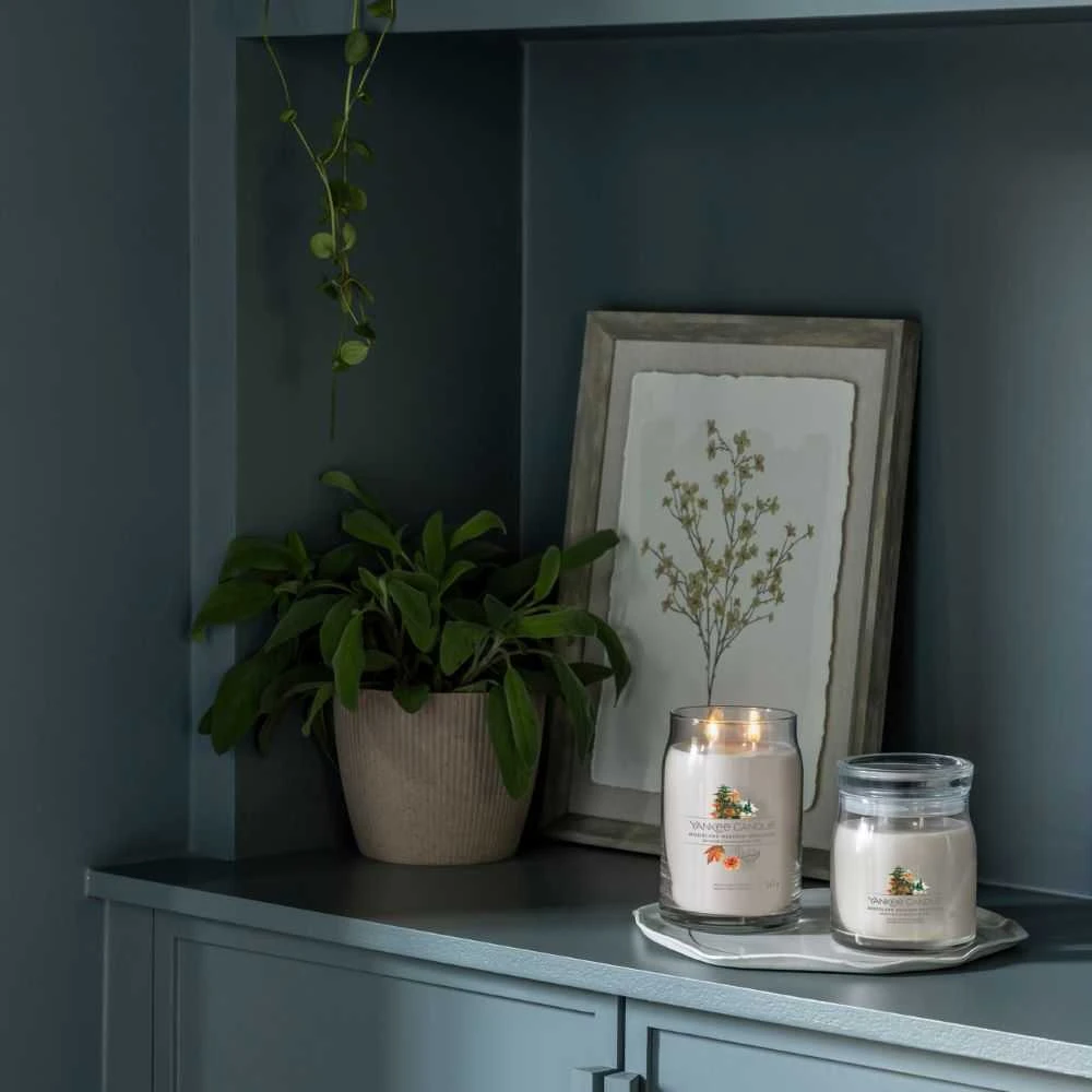 Yankee Candle Woodland Weekend Memories 567 g