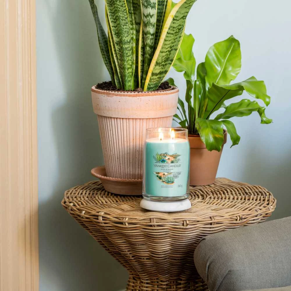 Yankee Candle Aromatinė žvakė Signature glass large Aloe - Agave 567 g