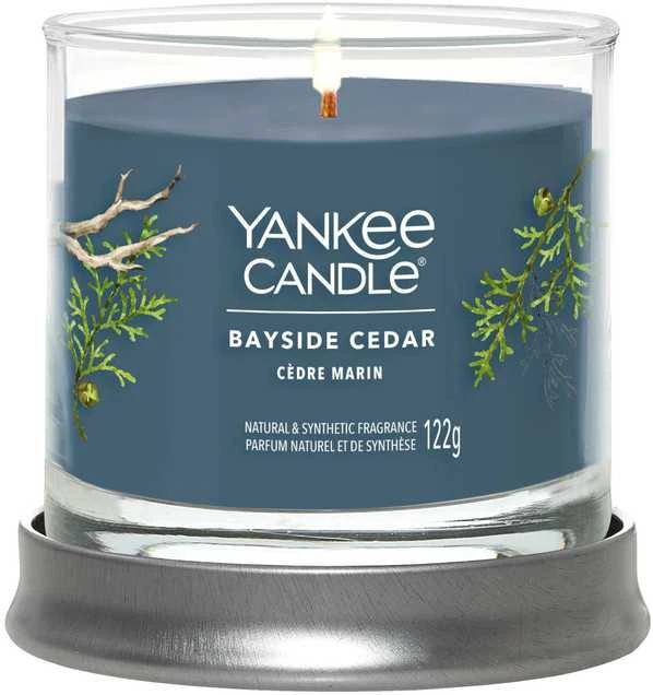 Yankee Candle Bayside Cedar 122 g