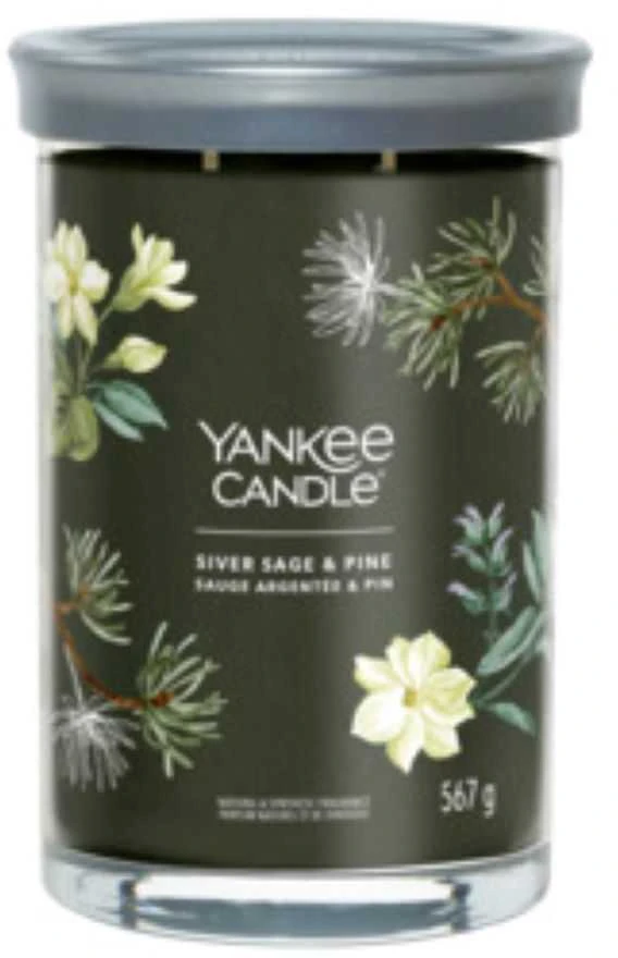 Yankee Candle Sidabrinis Sage & Pine 567 g
