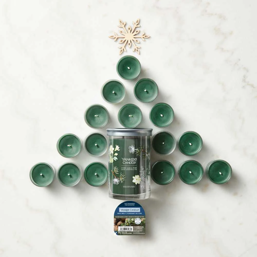 Yankee Candle Sidabrinis Sage & Pine 567 g