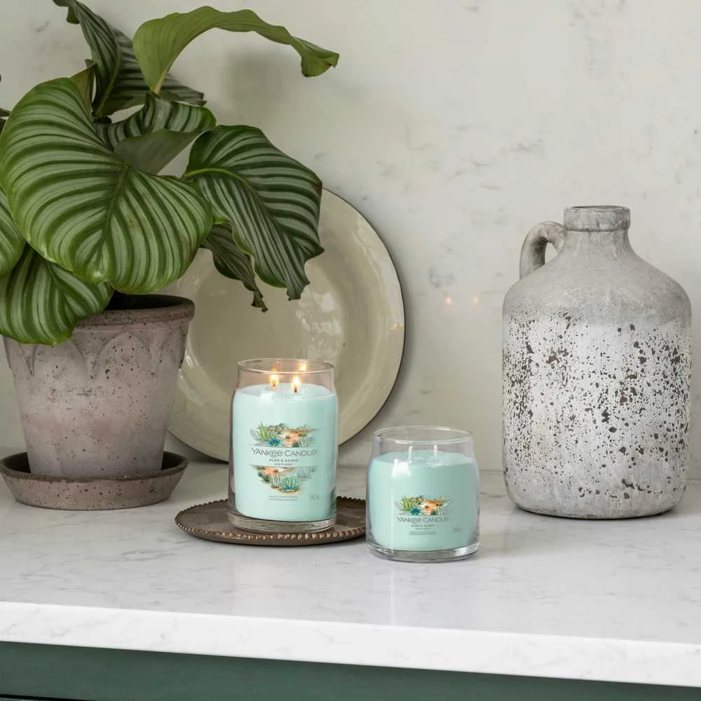 Yankee Candle Aromatinė žvakė Signature glass medium Aloe - Agave 368 g