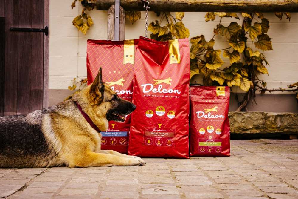 Delcon Visavertis pašaras suaugusiems šunims REGULAR PLUS su žuvimi / 12 kg