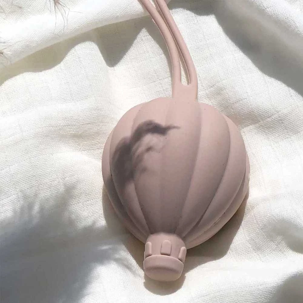 Petu Petu „Oro balionas“ čiulptuko dėžutė – Rose