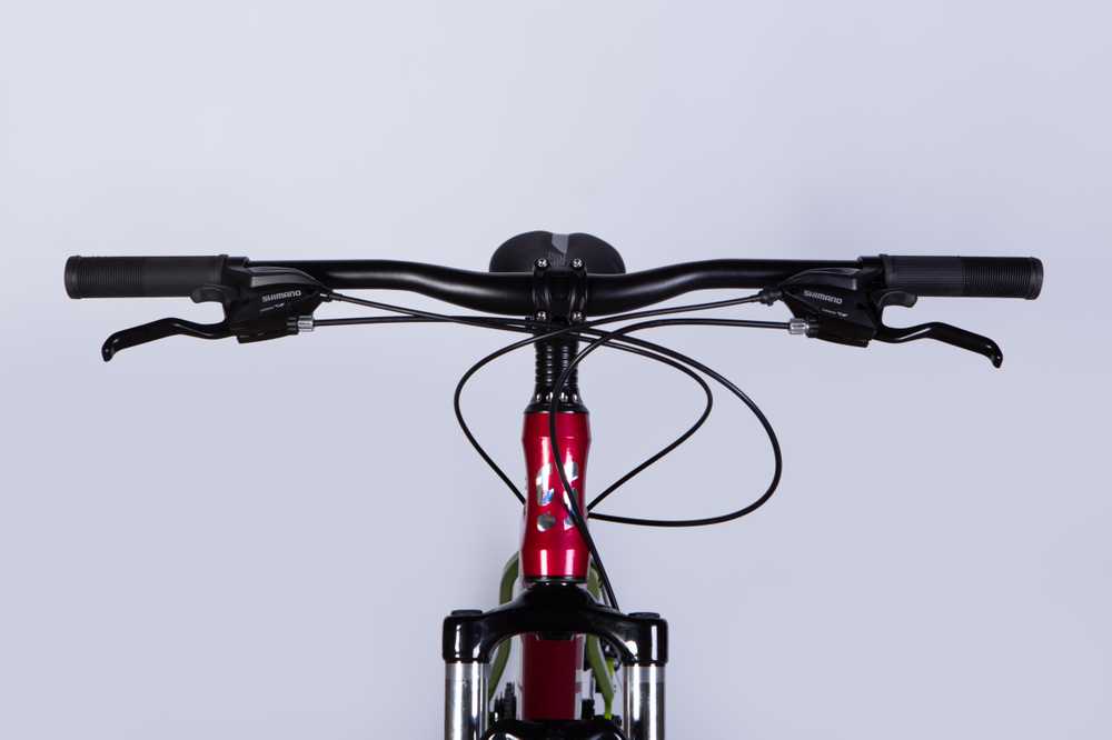 MTB dviratis 29" Formula MD TopVelo Space Phaeton Shimano, 46 cm rėmas, atspalviai su rožine spalva