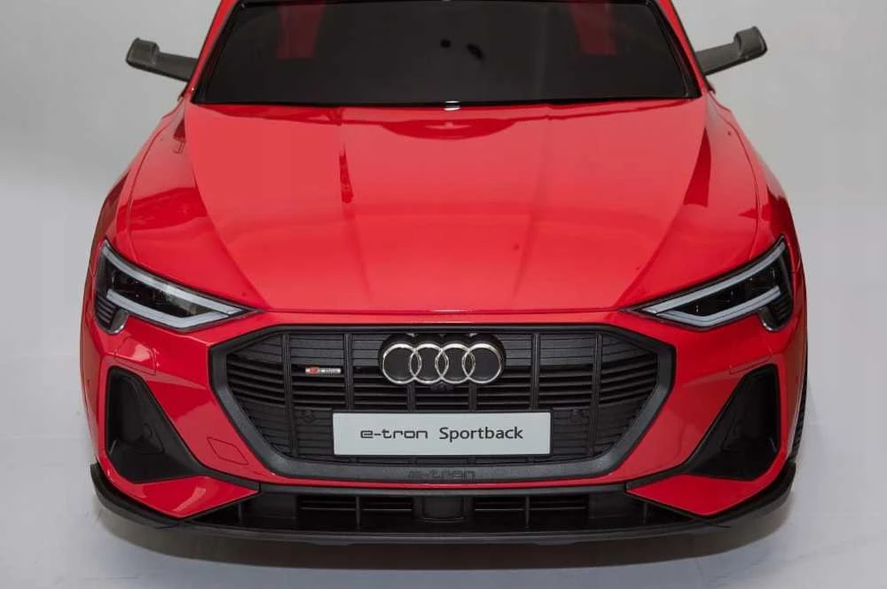Ramiz Elektromobilis vaikams Audi E- Tron QLS-6688, 4x4, raudonas