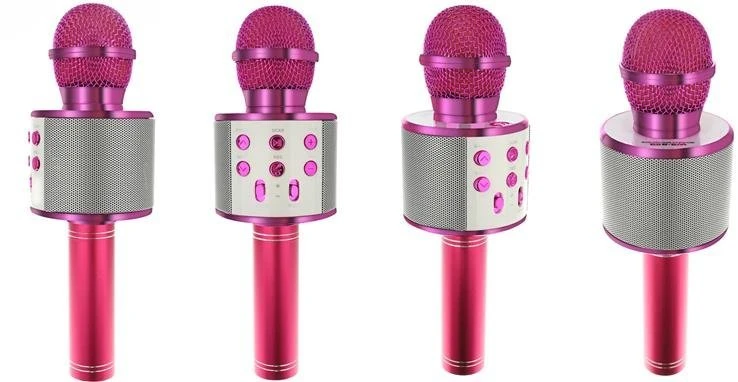 Malplay Žaislinis Karaoke Bluetooth mikrofonas