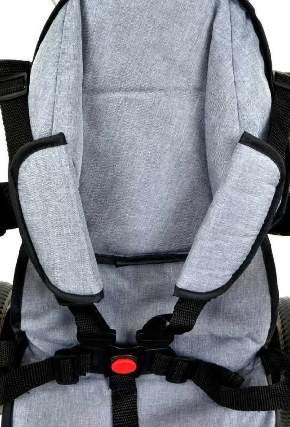Vaikiškas triratukas Funfit Kids Twist