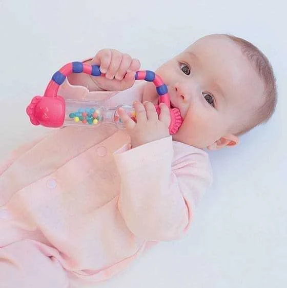 AM Tullo BRAIN BUILDERS barškutis „TARŠKUTIS“, BB108