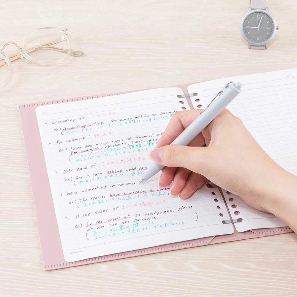 Segtuvas „Binder Notebook FLALEAF", B5 rausvas FLL-B501B-P