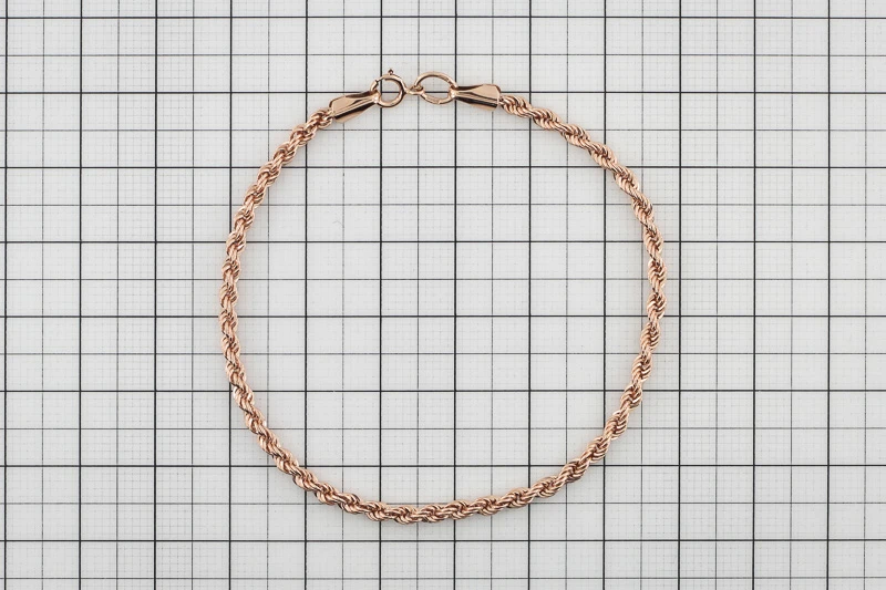 Auksinė apyrankė "Rope" Brasco 2885