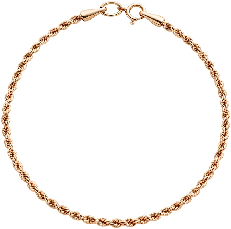 Auksinė apyrankė "Rope" Brasco 2885