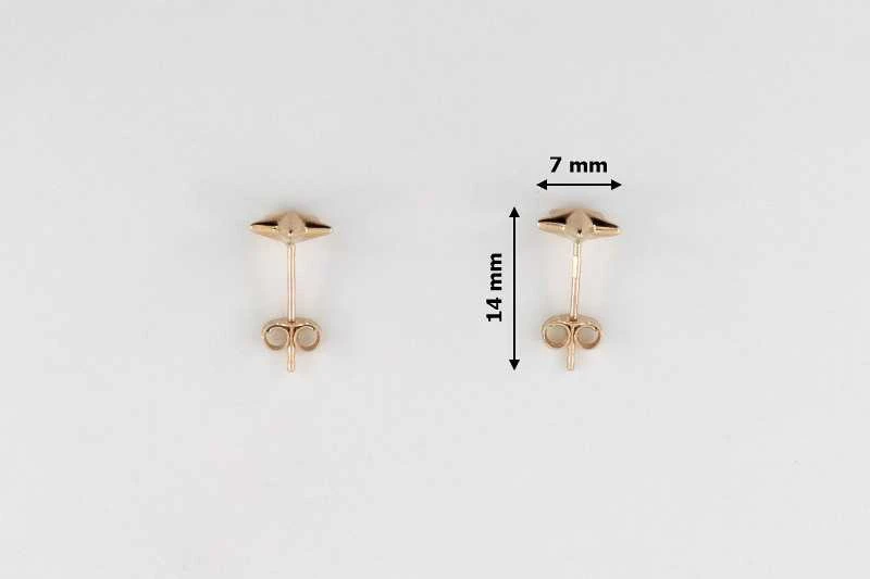 Auksiniai auskarai Brasco 52482