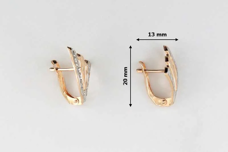 Auksiniai auskarai Brasco 55256