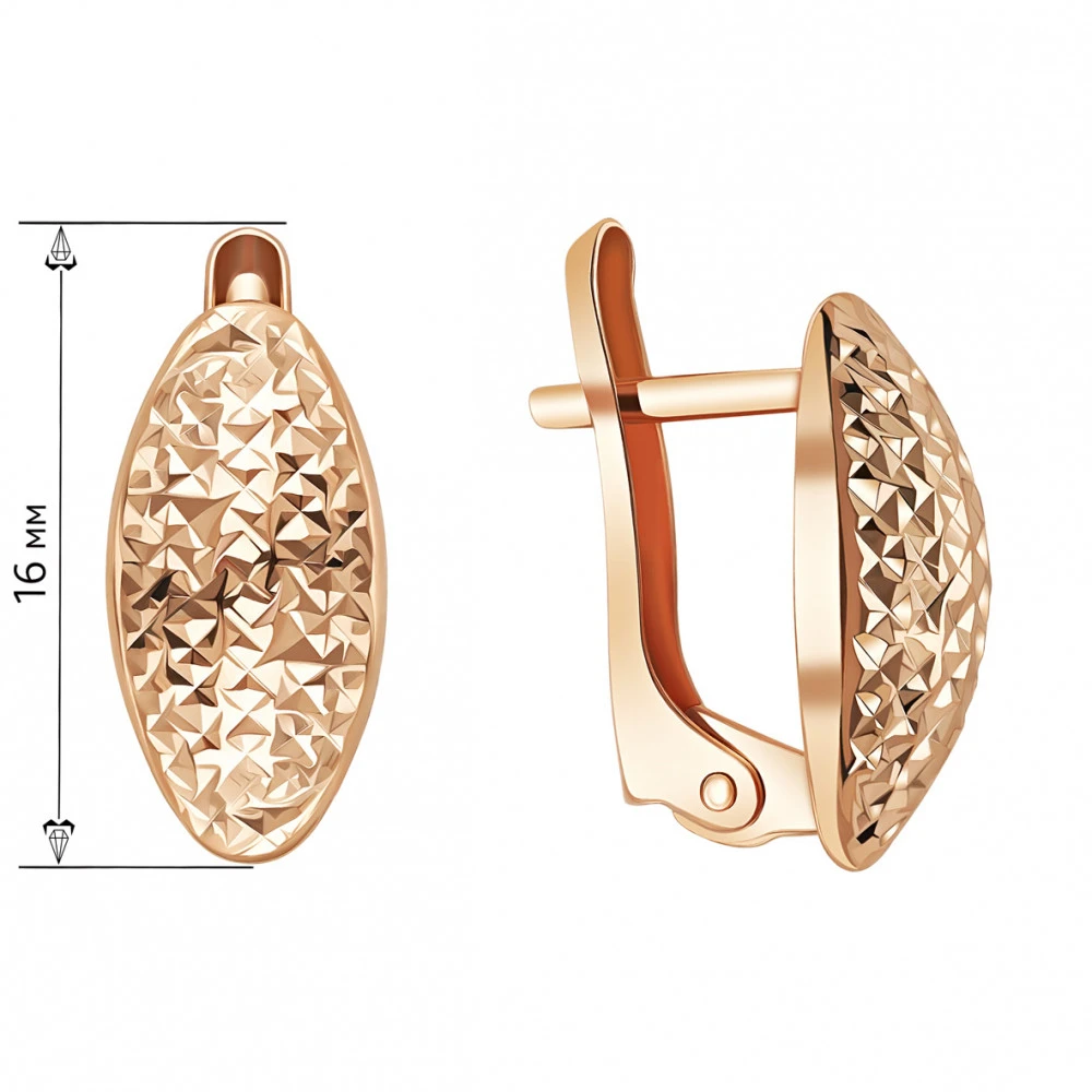 Auksiniai auskarai Brasco 65015