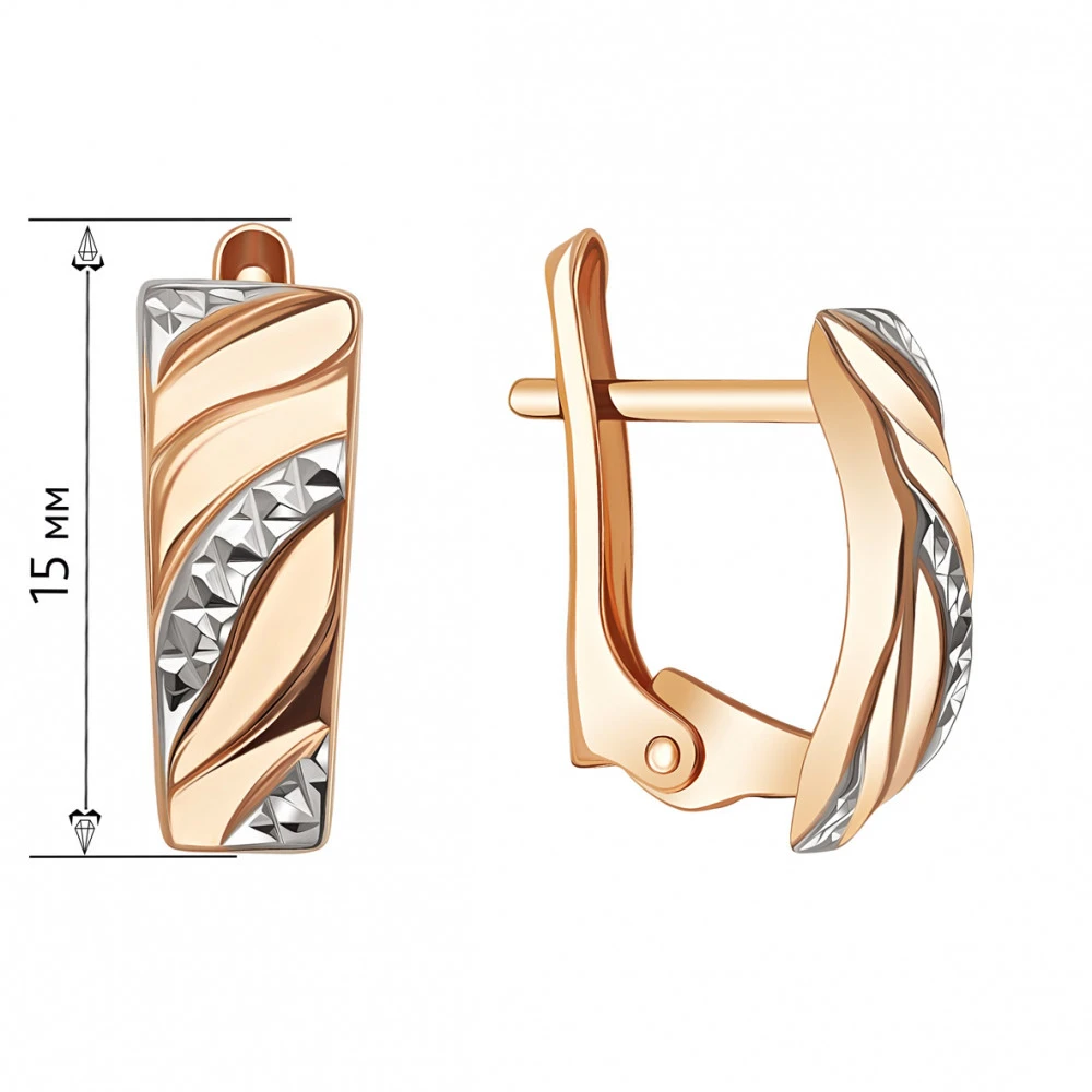 Auksiniai auskarai Brasco 65018