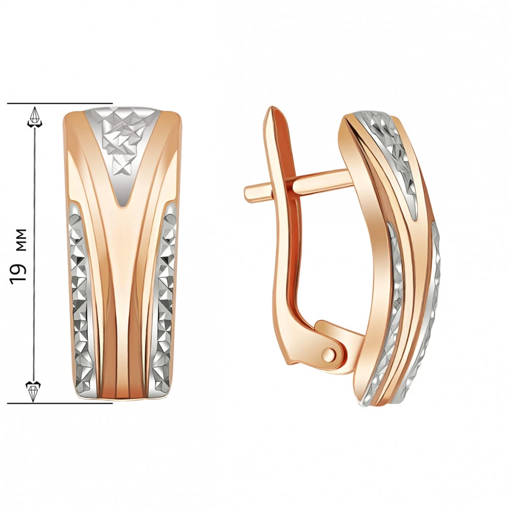 Auksiniai auskarai Brasco 65025